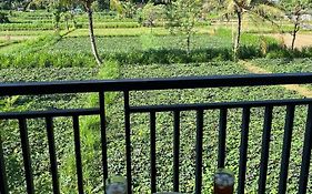 Mesari Homestay & Warung